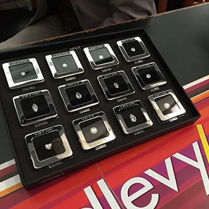 david levy show